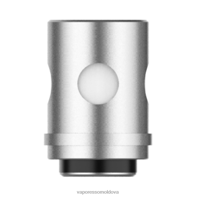 VBF0F365 Vaporesso EUC bobine (5 buc) euc clapton 0.4ohm Vaporesso Vape Amazon