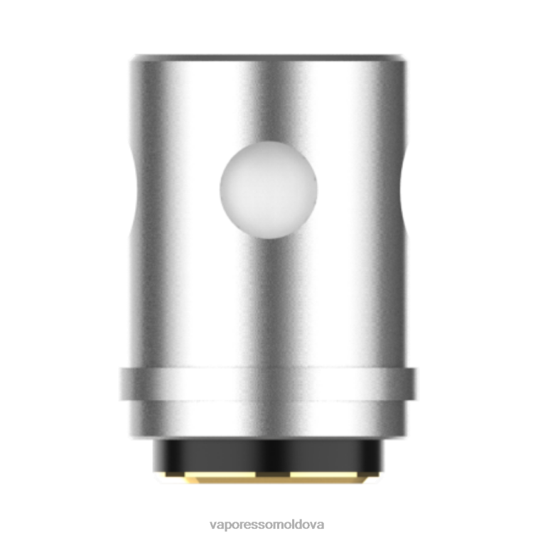 VBF0F368 Vaporesso EUC bobine (5 buc) euc clapton 0.5ohm Vaporesso Vape Instructions